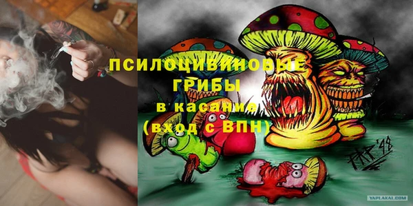 винт Алзамай