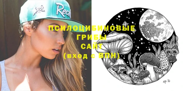 амф Алексин