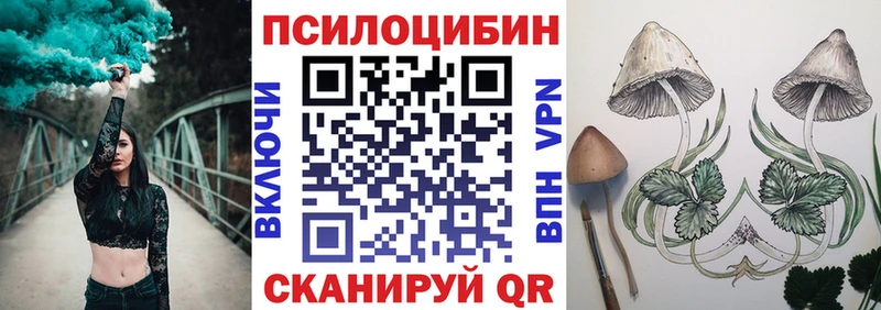 Псилоцибиновые грибы Magic Shrooms  Новосиль 