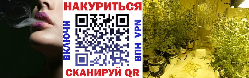 MEGA зеркало  Новосиль  Конопля White Widow 